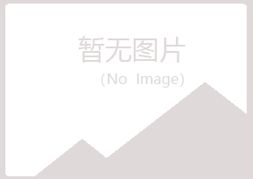 灵宝女孩工程有限公司